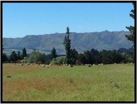 mindfulness retreats.JPG