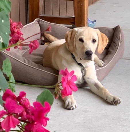 86671209_2461477487499717_1000184079489957888_n